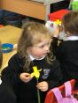 Primary 1 Daffodils 